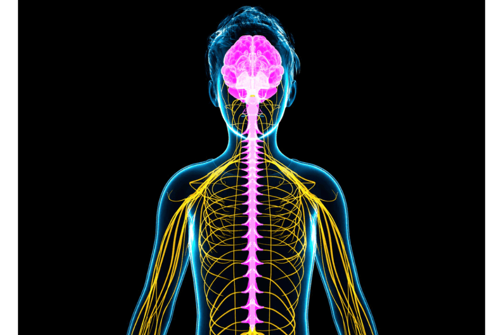 Neuro Somatic Reconditioning Technique.png