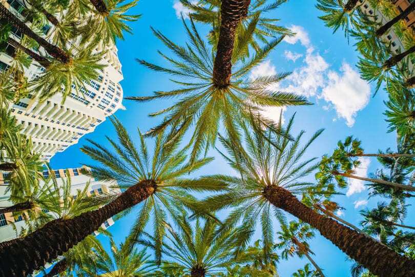 miami best therapy.jpg